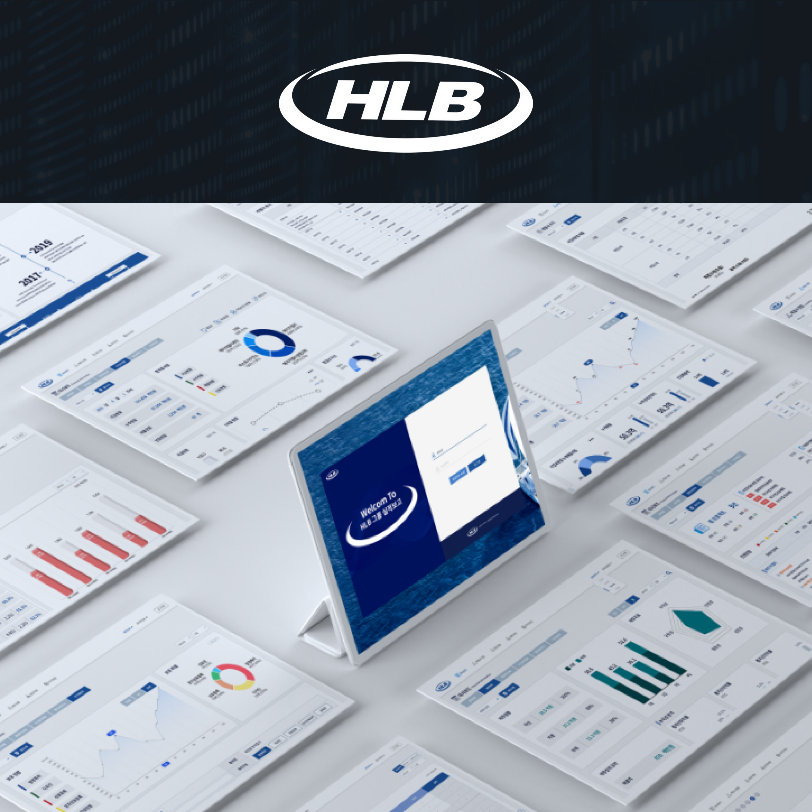 HLB 애널리틱스 시스템